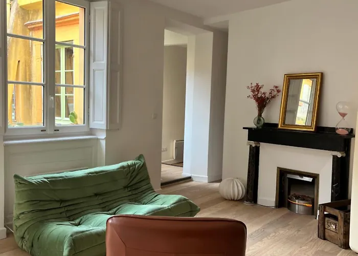 Le Petit Toulousain Chic Apartment